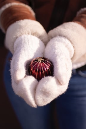 Blog - Sharon Krause - Love in a Mitten 2  - image