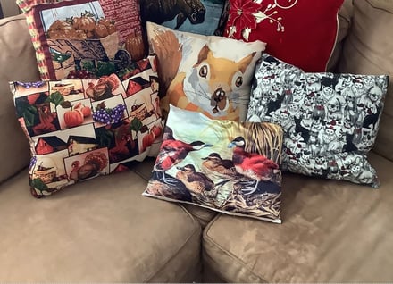 Blog - Sharon Krause - Pillows and Prayers_image